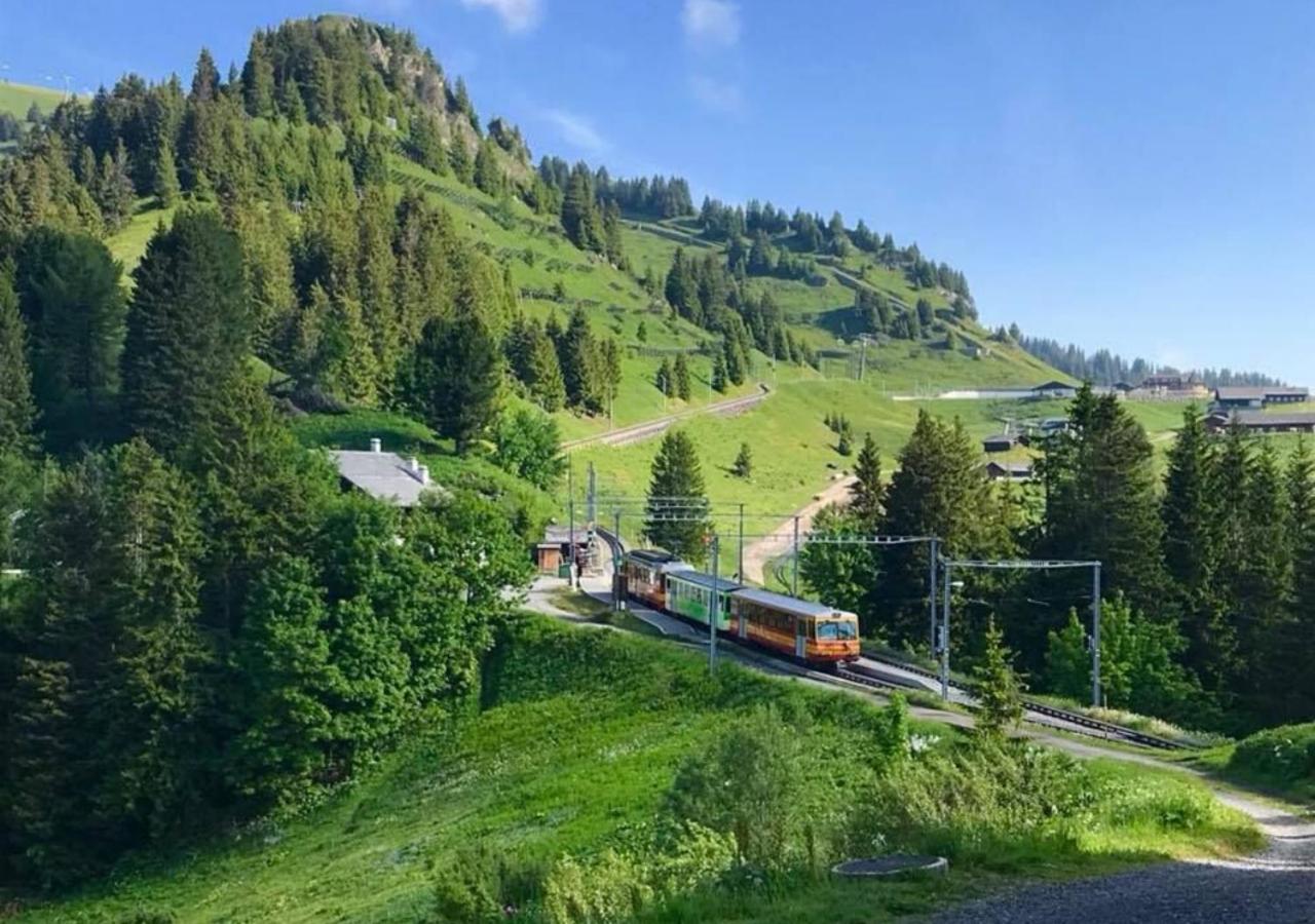Maison De Montagne De Bretaye Acces Par Le Train Arret Bouquetin Villars-sur-Ollon Kültér fotó